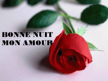 bonne nuit mon amour rose